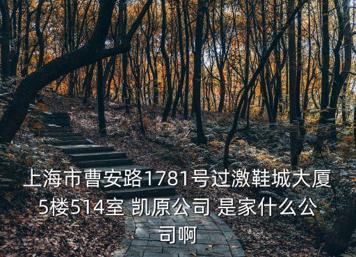 上海市曹安路1781號過激鞋城大廈5樓514室 凱原公司 是家什么公司啊