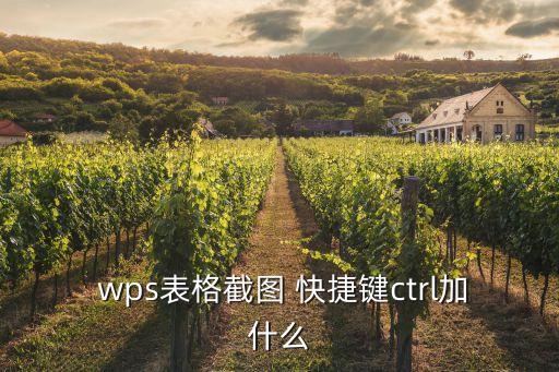  wps表格截圖 快捷鍵ctrl加什么