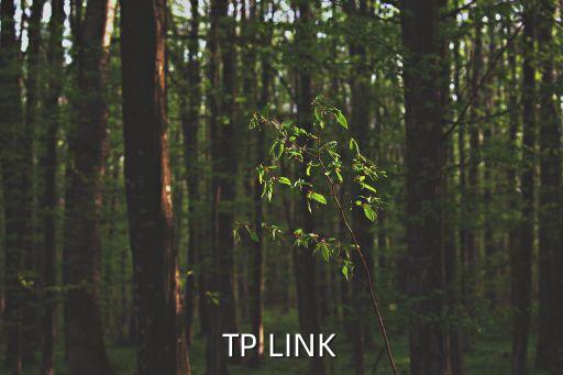 TP LINK