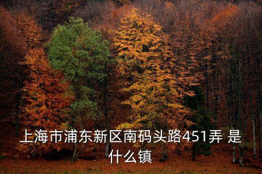 上海市浦東新區南碼頭路451弄 是什么鎮