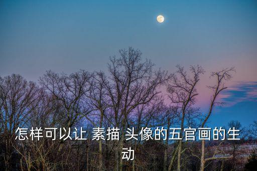 人頭像素描,如何畫好每一張素描頭像?步驟流程