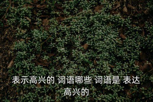 表示高興的 詞語哪些 詞語是 表達(dá)高興的