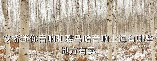 安橋迷你音響和雅馬哈音響上海有哪些地方有賣