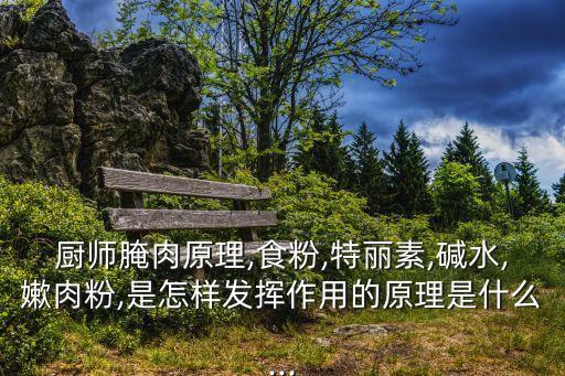 廚師腌肉原理,食粉,特麗素,堿水,嫰肉粉,是怎樣發(fā)揮作用的原理是什么...