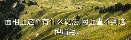 面相上這個有什么說法,網上查不到這種眉毛