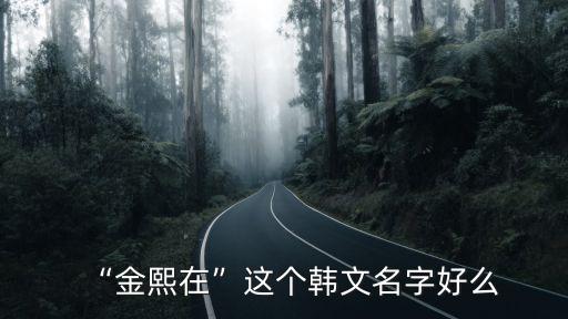 “金熙在”這個韓文名字好么