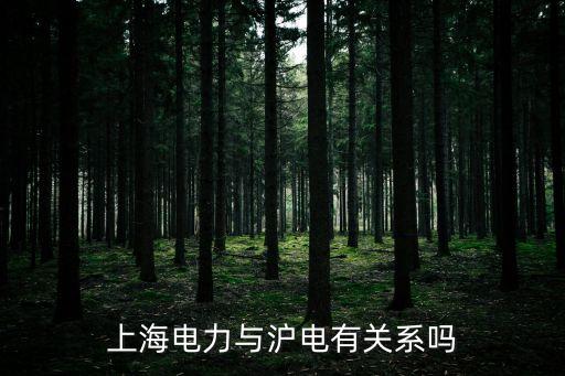 上海市電力有限公司，急求上海市電力公司地址郵編
