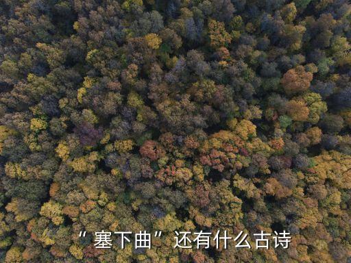 塞下曲李益,唐代很多詩人以邊塞詩人題作詩