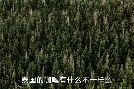 泰國的咖喱有什么不一樣么