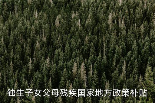 上海市獨生子女殘疾，獨生子女傷殘家庭扶助