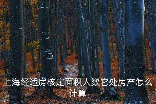 上海經(jīng)適房核定面積人數(shù)它處房產(chǎn)怎么計(jì)算