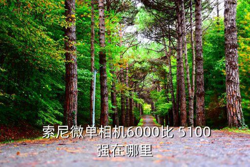 索尼5100,索尼微單6000比索尼a50有三大不同之處