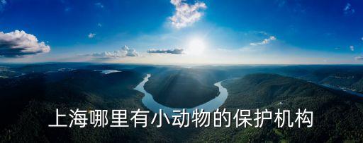 上海市畜牧獸醫學會電話，固話號碼歸屬地查詢02125910445是上海什么單位的電話詳細一點