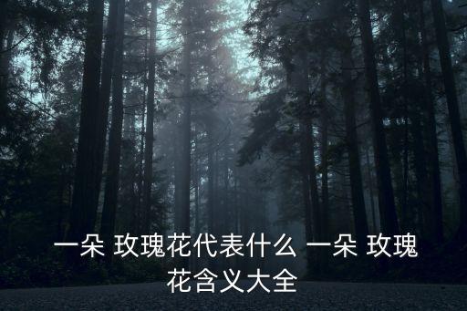  一朵 玫瑰花代表什么 一朵 玫瑰花含義大全