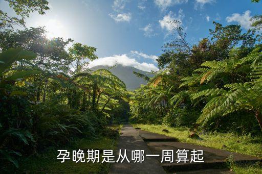 懷孕晚期，孕晚期是從哪一周算起
