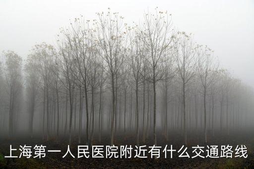 上海第一人民醫(yī)院附近有什么交通路線