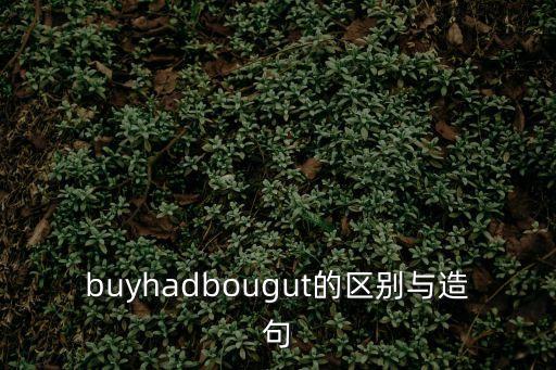 buyhadbougut的區別與造句