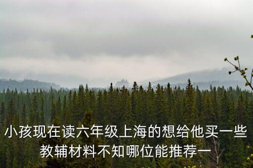 小孩現在讀六年級上海的想給他買一些教輔材料不知哪位能推薦一