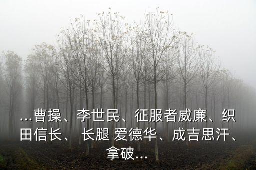 ...曹操、李世民、征服者威廉、織田信長、 長腿 愛德華、成吉思汗、拿破...