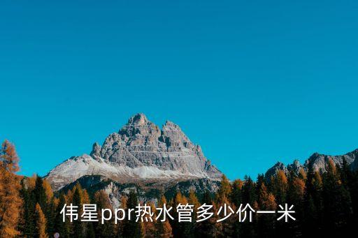 上海市場偉星水管多少錢一米，偉星ppr熱水管多少價一米
