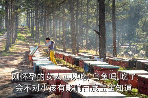 孕婦可以吃烏魚嗎