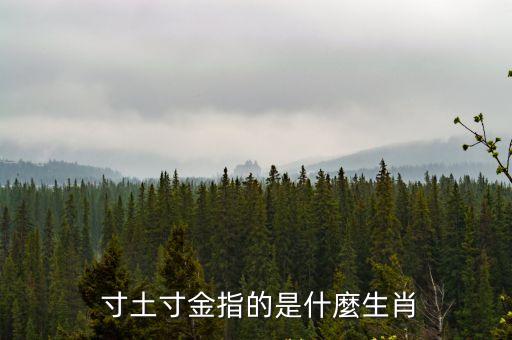 寸土寸金,龍頭空降地是最佳選擇龍頭展覽選址標準