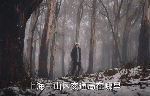 上海市寶山建交委網(wǎng)站，上海寶山區(qū)交通局在哪里