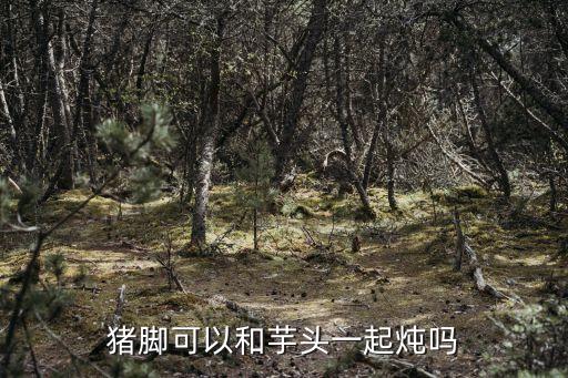 沙蚤腳取出后圖片,因貧窮而赤腳的非洲人或是沙蚤捕獵對象
