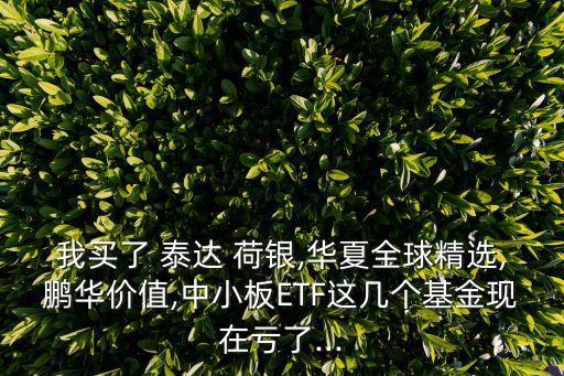 我買了 泰達 荷銀,華夏全球精選,鵬華價值,中小板ETF這幾個基金現在虧了...