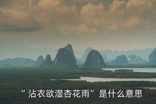 沾衣欲濕,沾衣我要被杏花淋濕