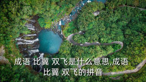 成語 比翼 雙飛是什么意思,成語 比翼 雙飛的拼音
