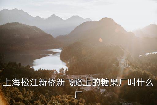上海松江新橋新飛路上的糖果廠叫什么廠