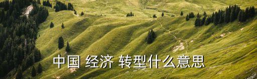 中國經濟轉型,中國須轉型集約經濟增長方式可持續發展