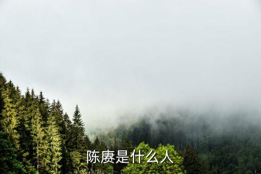 陳庚，陳賡將軍的個人資料