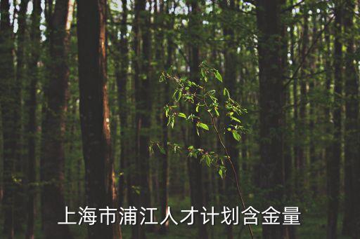 上海市浦江人才計劃含金量