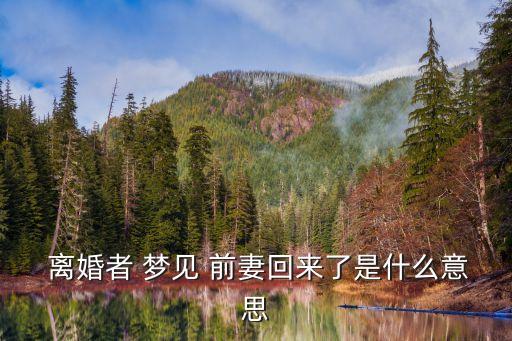 離婚者夢(mèng)見(jiàn)前妻好不好,未婚夢(mèng)見(jiàn)前妻等你回來(lái)你會(huì)有好運(yùn)氣