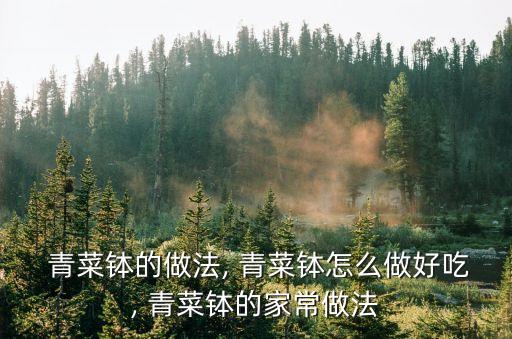  青菜缽的做法, 青菜缽怎么做好吃, 青菜缽的家常做法