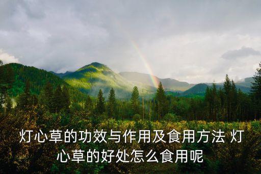  燈心草的功效與作用及食用方法 燈心草的好處怎么食用呢