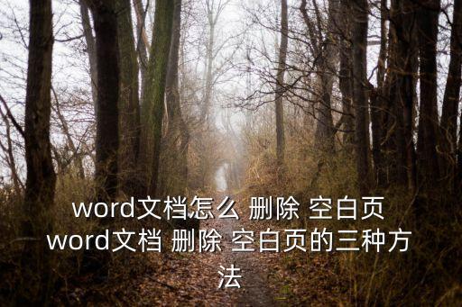 word文檔怎么 刪除 空白頁 word文檔 刪除 空白頁的三種方法