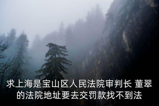 求上海是寶山區(qū)人民法院審判長 董翠的法院地址要去交罰款找不到法