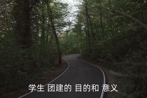 團建的目的和意義,黨建活動可促進團隊凝聚力