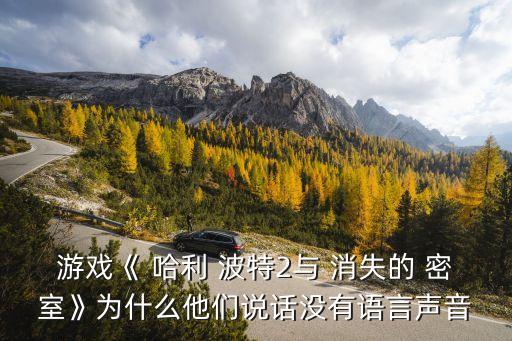 游戲《 哈利 波特2與 消失的 密室》為什么他們說話沒有語言聲音