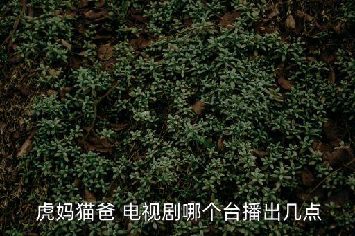  虎媽貓爸 電視劇哪個臺播出幾點