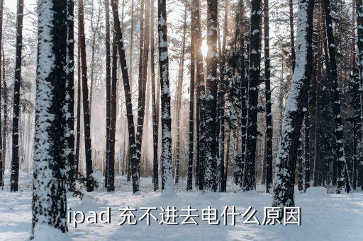 ipad充不進去電,蘋果手機充電器沒反應說明沒法開機