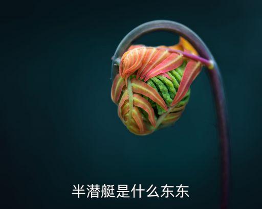 半潛艇，半潛艇是什么東東