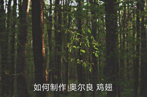 奧爾良雞翅,奧爾良雞翅制作方法:雞翅一袋鹽巴適量
