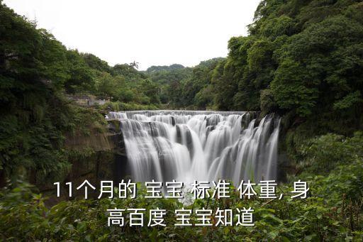11個月的 寶寶 標(biāo)準(zhǔn) 體重, 身高百度 寶寶知道
