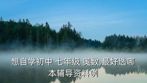 想自學初中 七年級 奧數,最好選哪本輔導資料咧