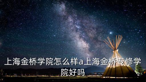 上海市金橋學院，上海金橋學院都有什么特色的專業啊環境怎么樣啊學校好不好啊