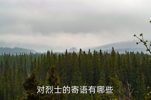 對烈士的寄語有哪些